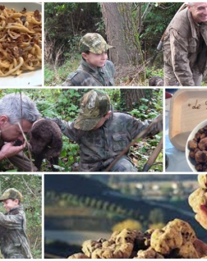 Truffle hunting Siena countryside